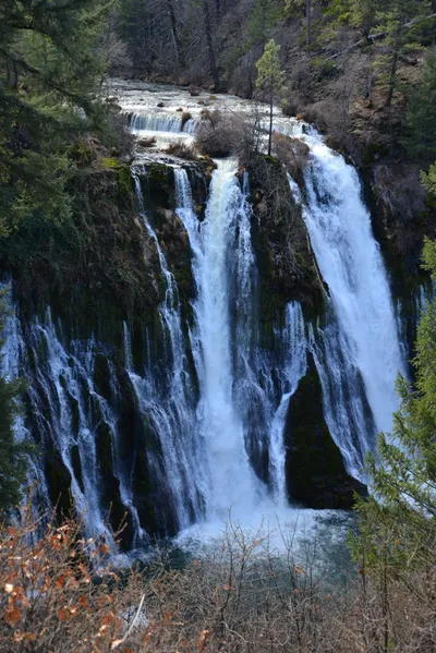 DSC_5915 (Large).JPG